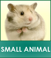 Small Animals Supplies