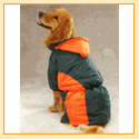 Casual Canine Base Camp Parkas - Green & Orange
