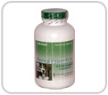 Vetri-Science Renal Essentials